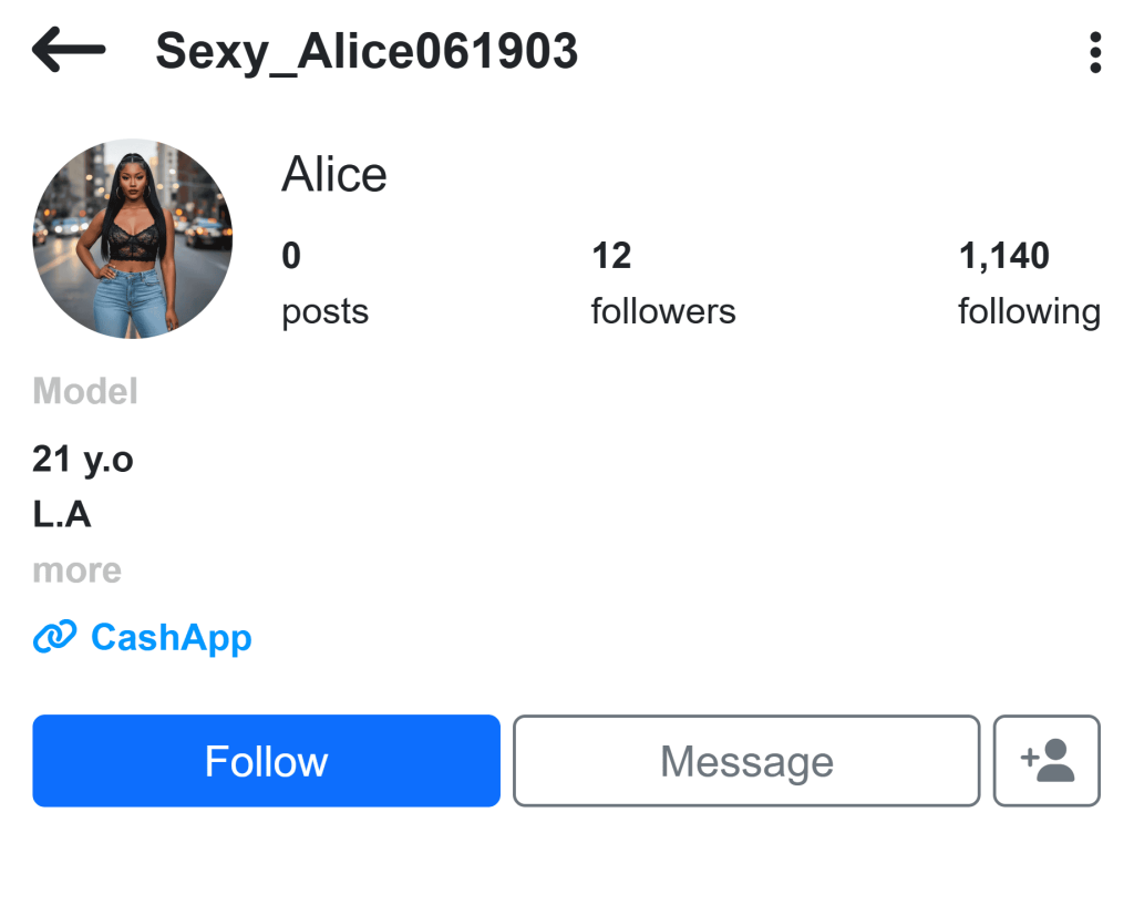 A catfish has no social media presence