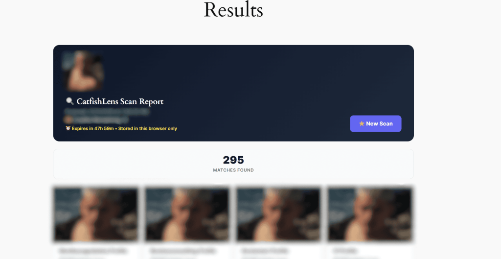Les résultats de la recherche inversée d'images sont arrivés