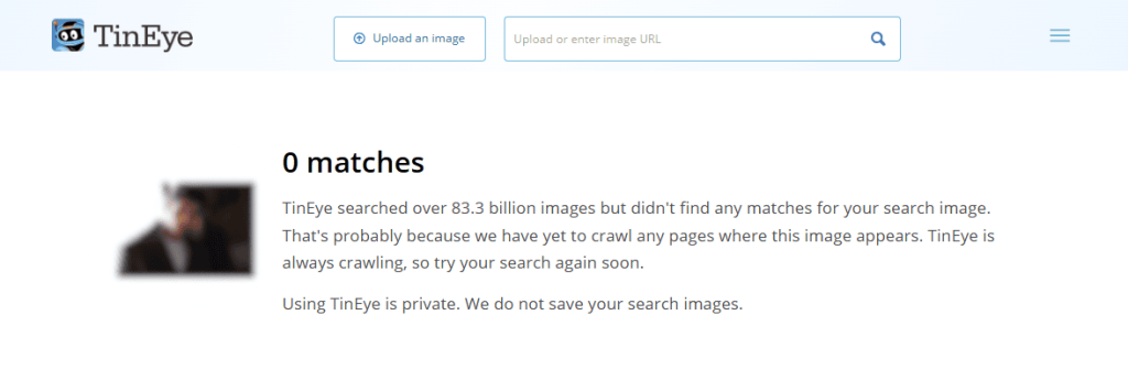 Résultats de recherche d'images inversées TinEye