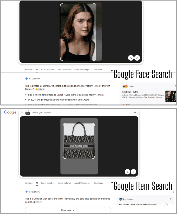 Google reverse image search