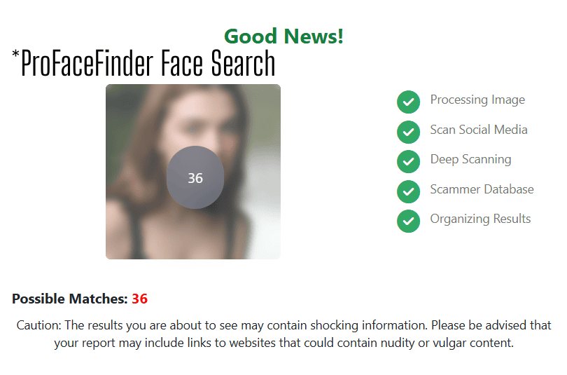 ProFaceFinder face search