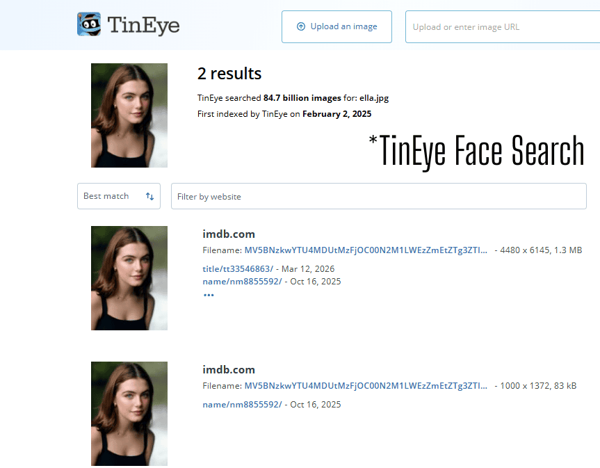 TinEye face search