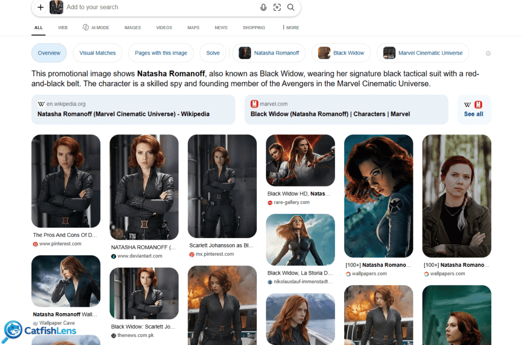 Bing Visual Search Scarlett Johansson