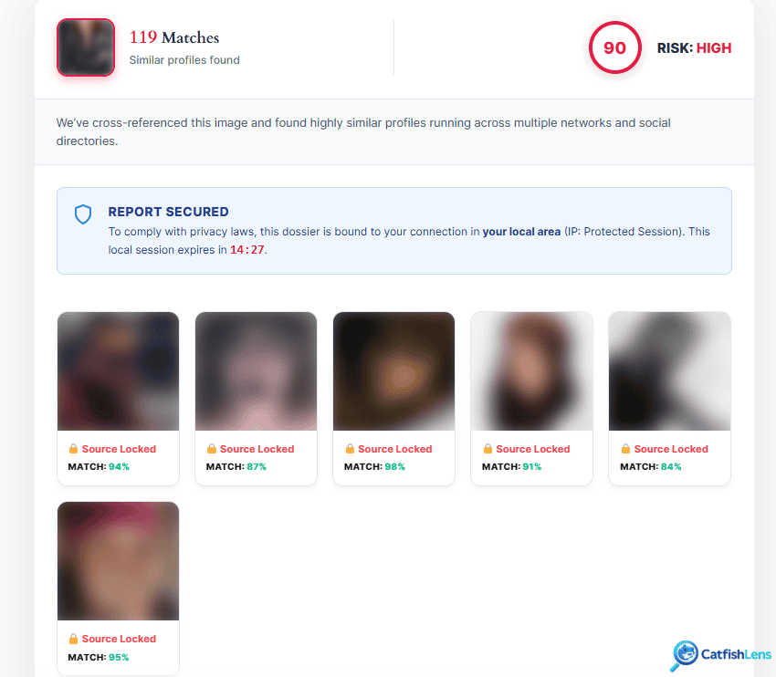Catfish Lens Face Lookup results of Scarlett Johansson