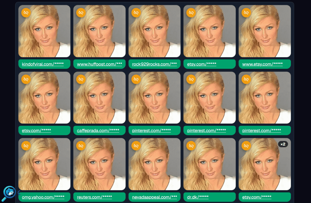 FaceSeek Mugshot results - Paris Hamilton