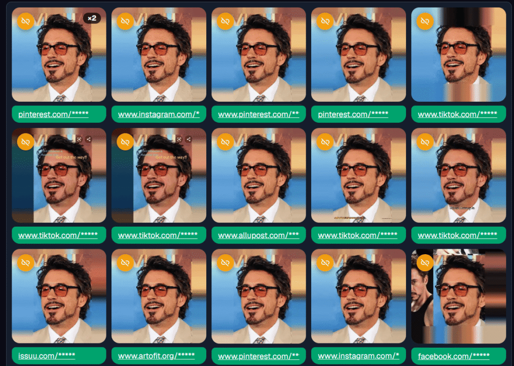 Resultados de reconocimiento facial de FaceSeek para Robert Downey Junior