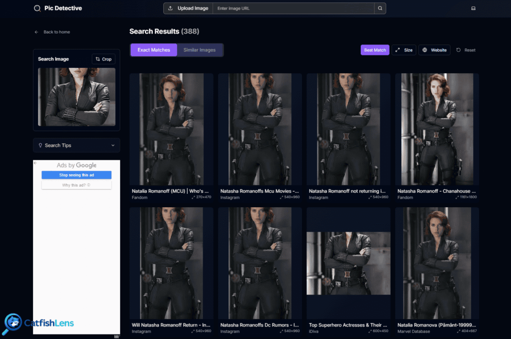 PicDetective Image Lookup results